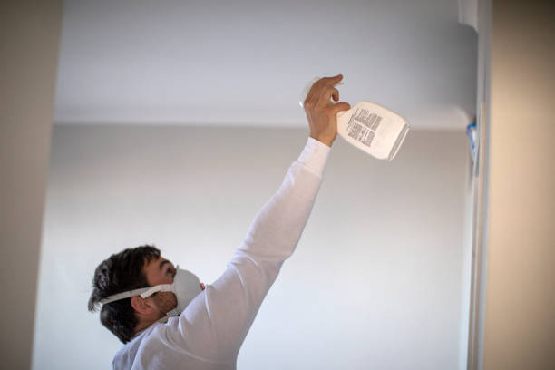Best Residential Mold Remediation in Wakefield, VA