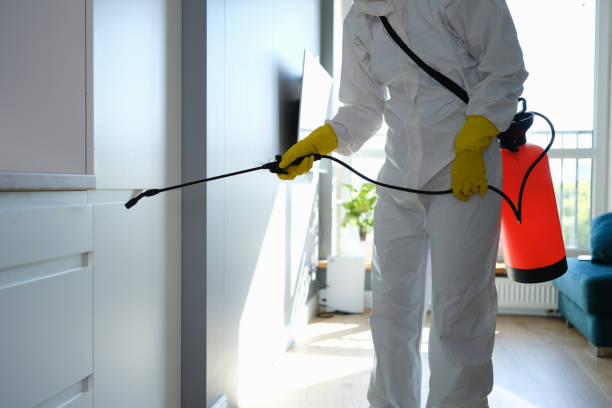 Professional Mold Remediation in Wakefield, VA